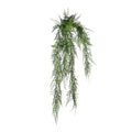 UV Exterior Junglist Asparagus Bush (83cm)