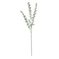 Essential Grey Eucalyptus Spray