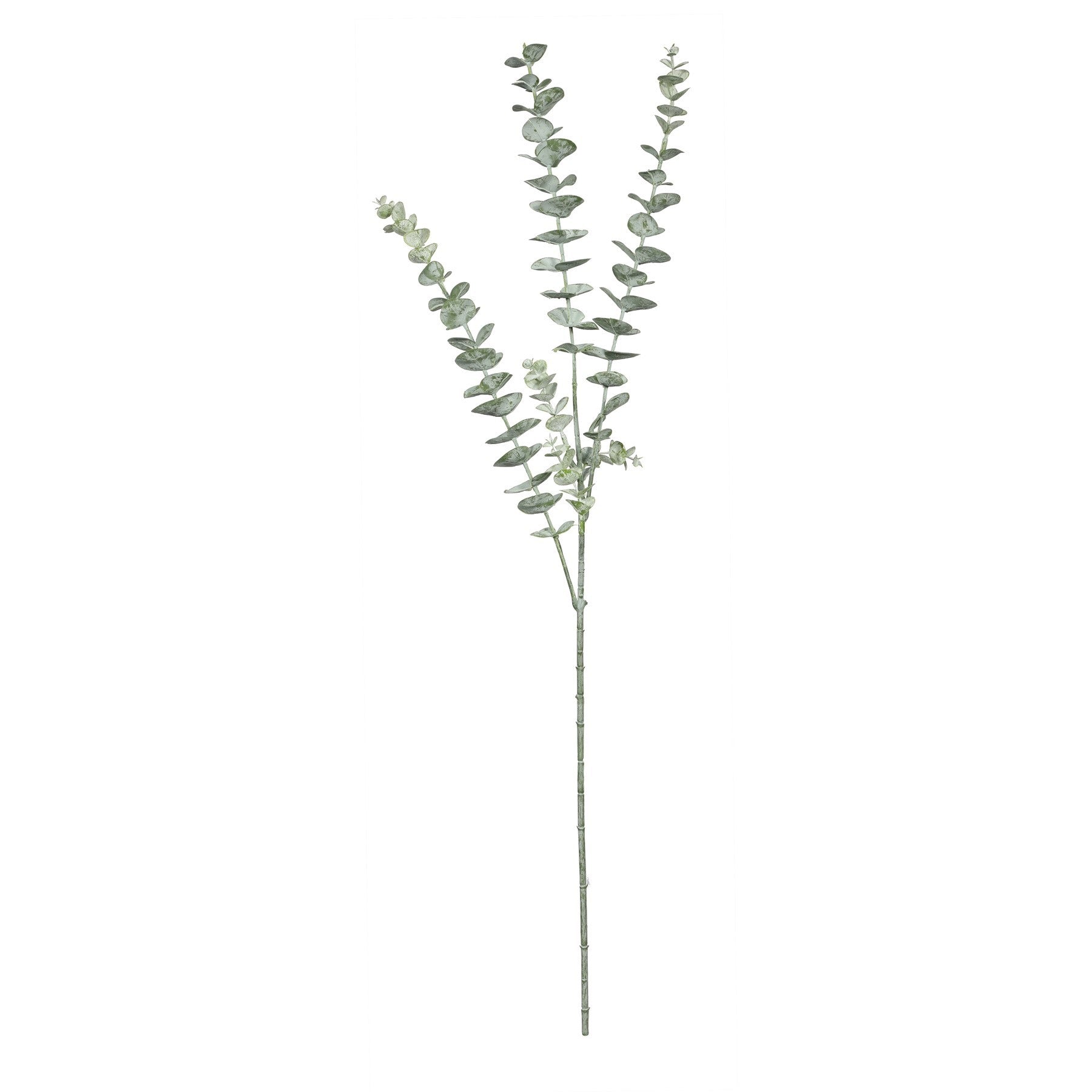 Essential Grey Eucalyptus Spray