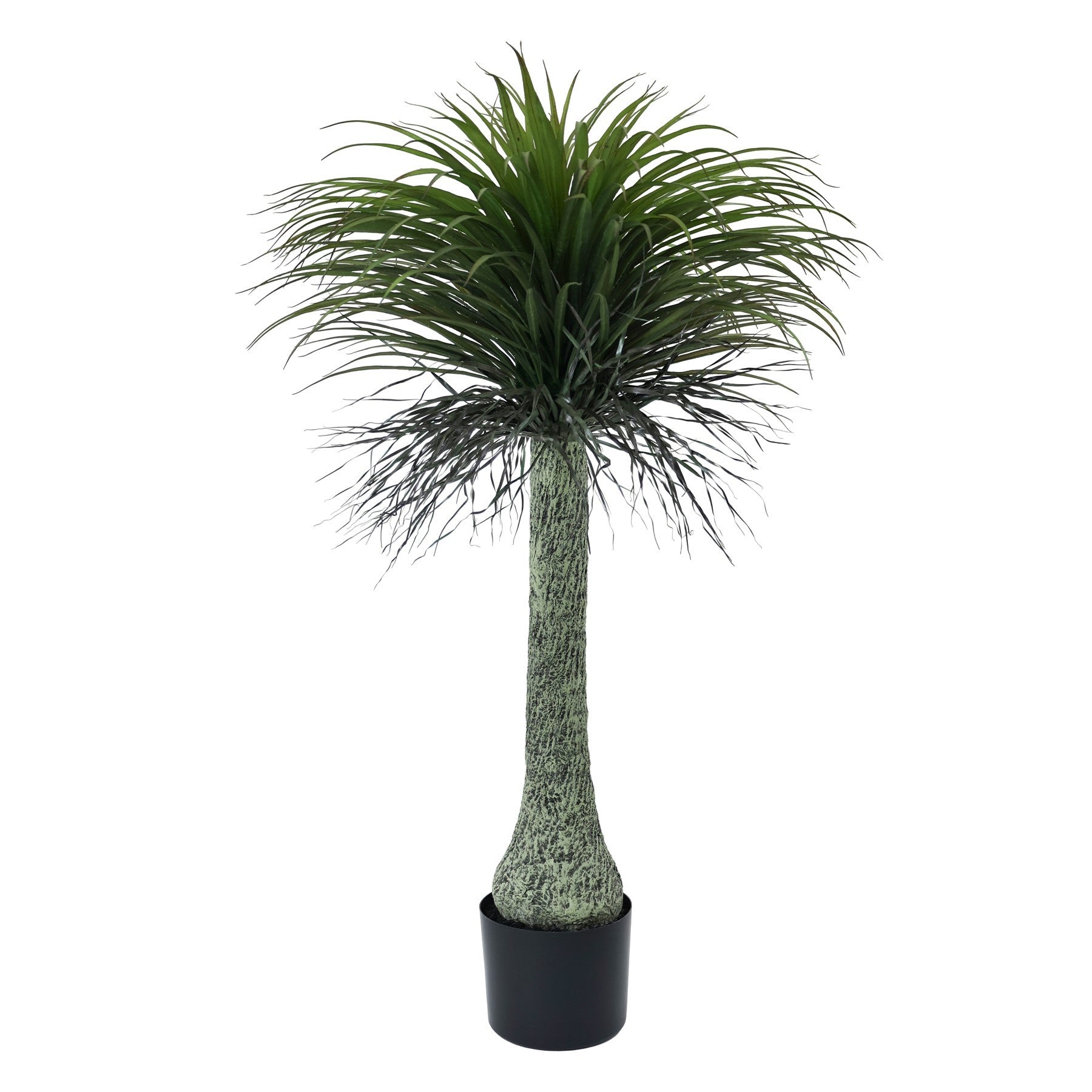 Botanica Yucca Tree in Pot (135cm)