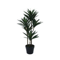 Green Botanica Yucca Tree (78cm)