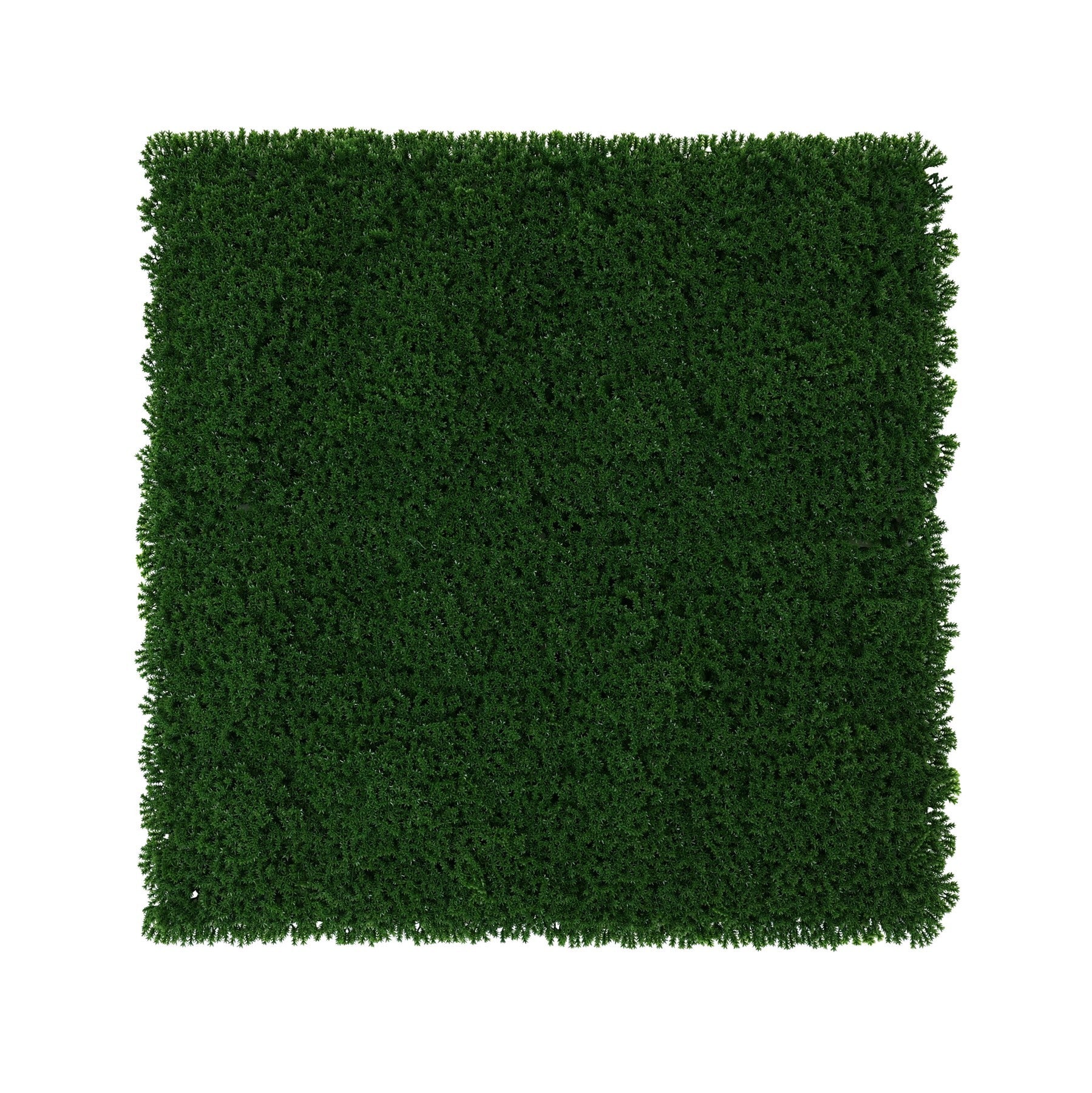 Dark Green Exterior Moss Wall (50x50cm)