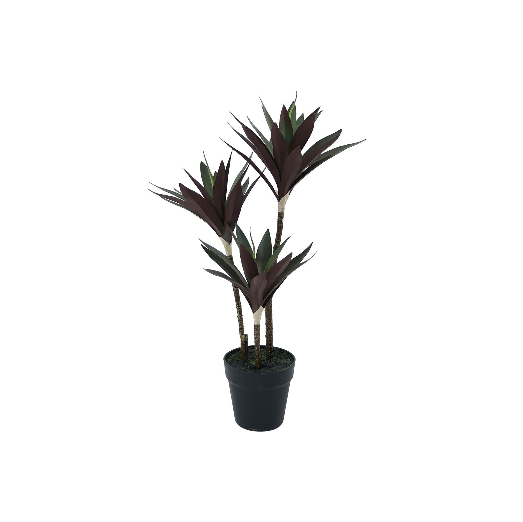 Botanica Yucca Tree in Pot (63cm)