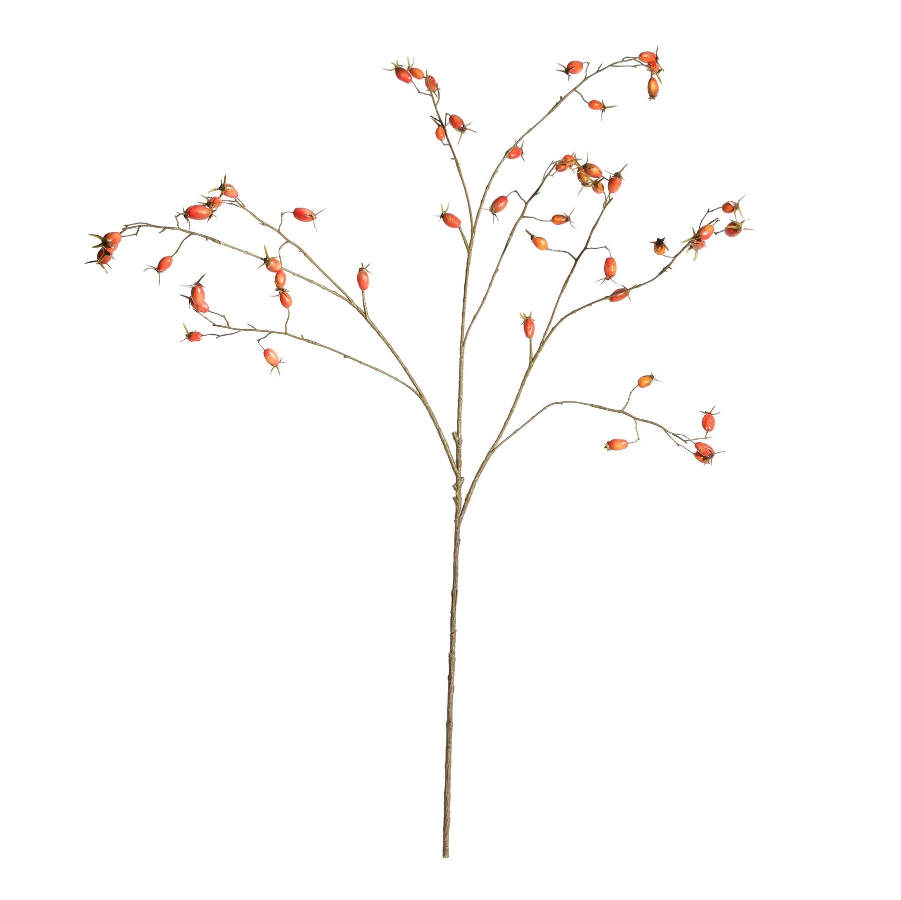 Botanica Rose Hip Branch (106cm)