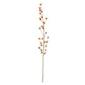 Botanica Orange Hamamelis Branch (153cm)
