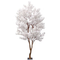 White Sakura Blossom Tree (2.8m)