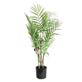 Botanica Areca Palm in Pot (72cm)