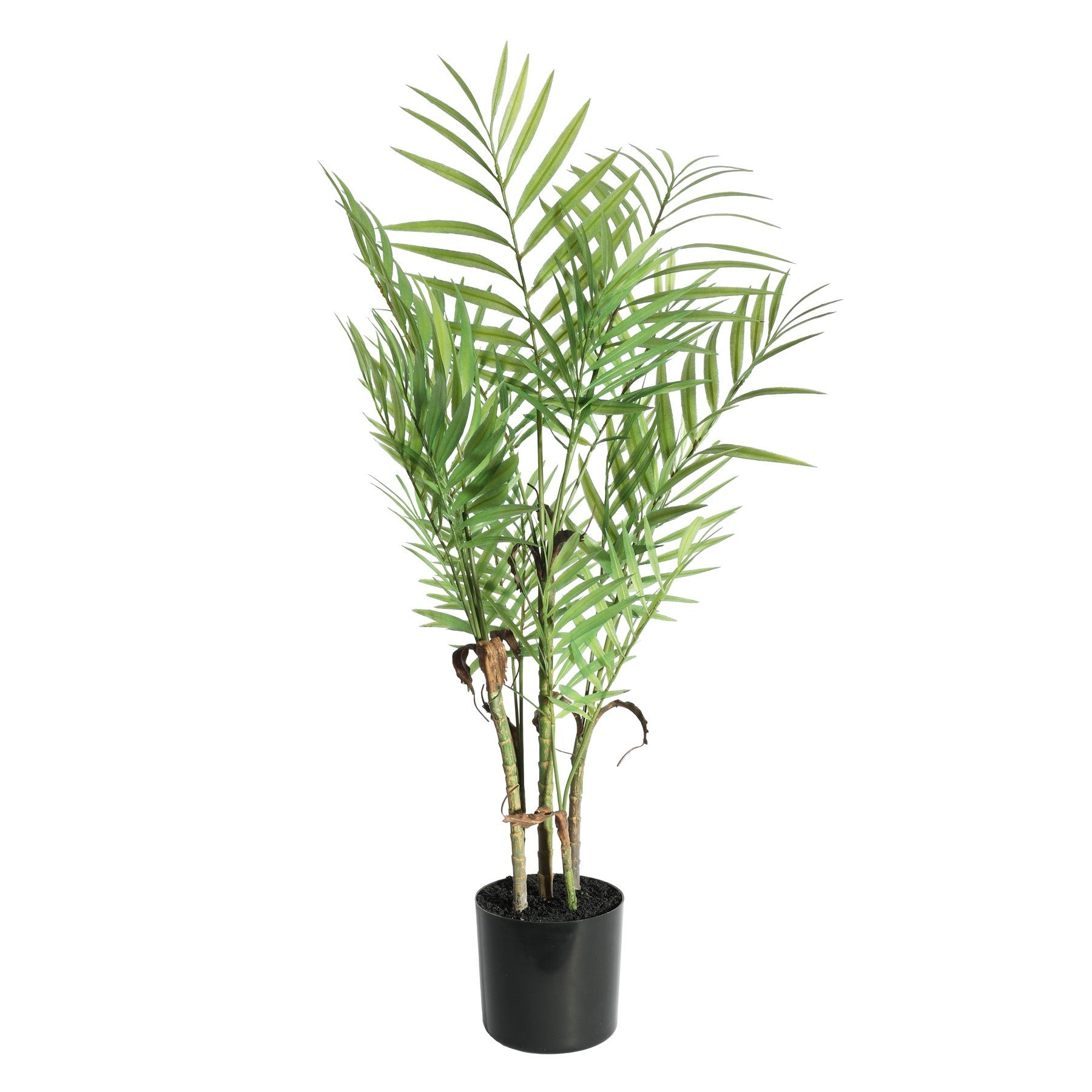 Botanica Areca Palm in Pot (72cm)