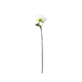 Botanica White Rose (49cm)