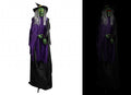 Animated Witch Ghost (72 Inch)