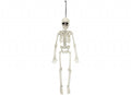 Hanging Skeleton Decoration (40cm)