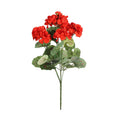 Geranium Red Bush (10cm)