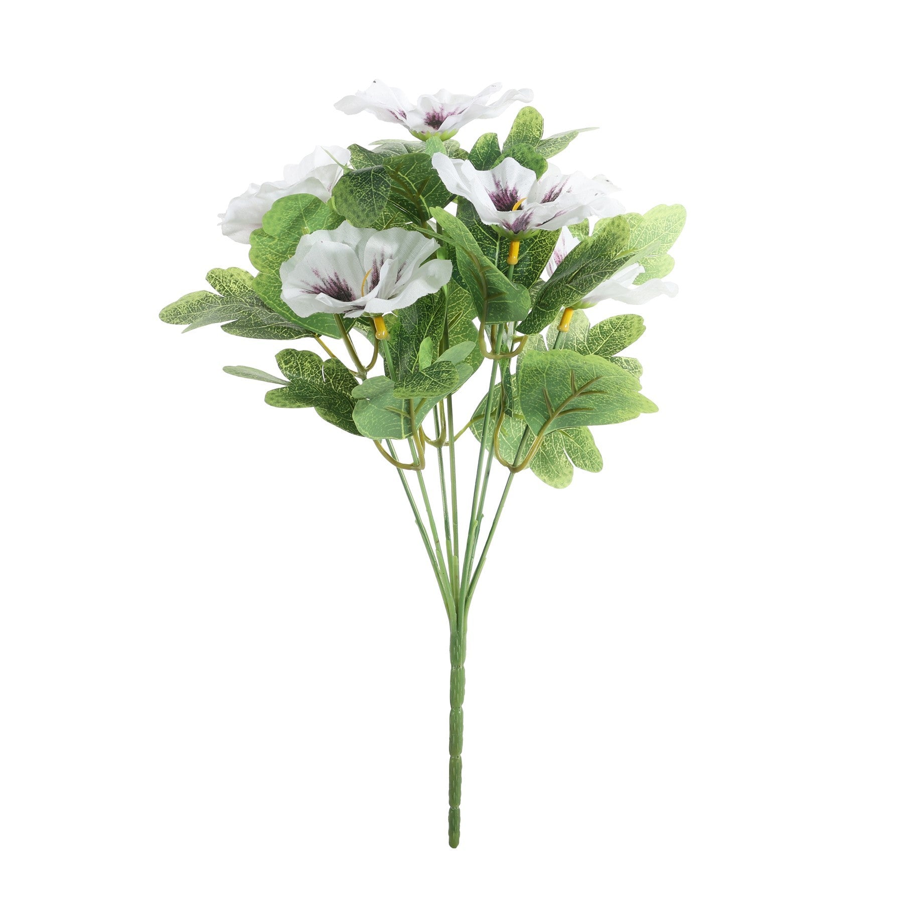 Essential White Pansy Bunch (7 Heads)