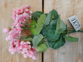 Pink Geranium Bush (30cm)