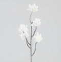 Berry Cluster Spray Cream (50cm)