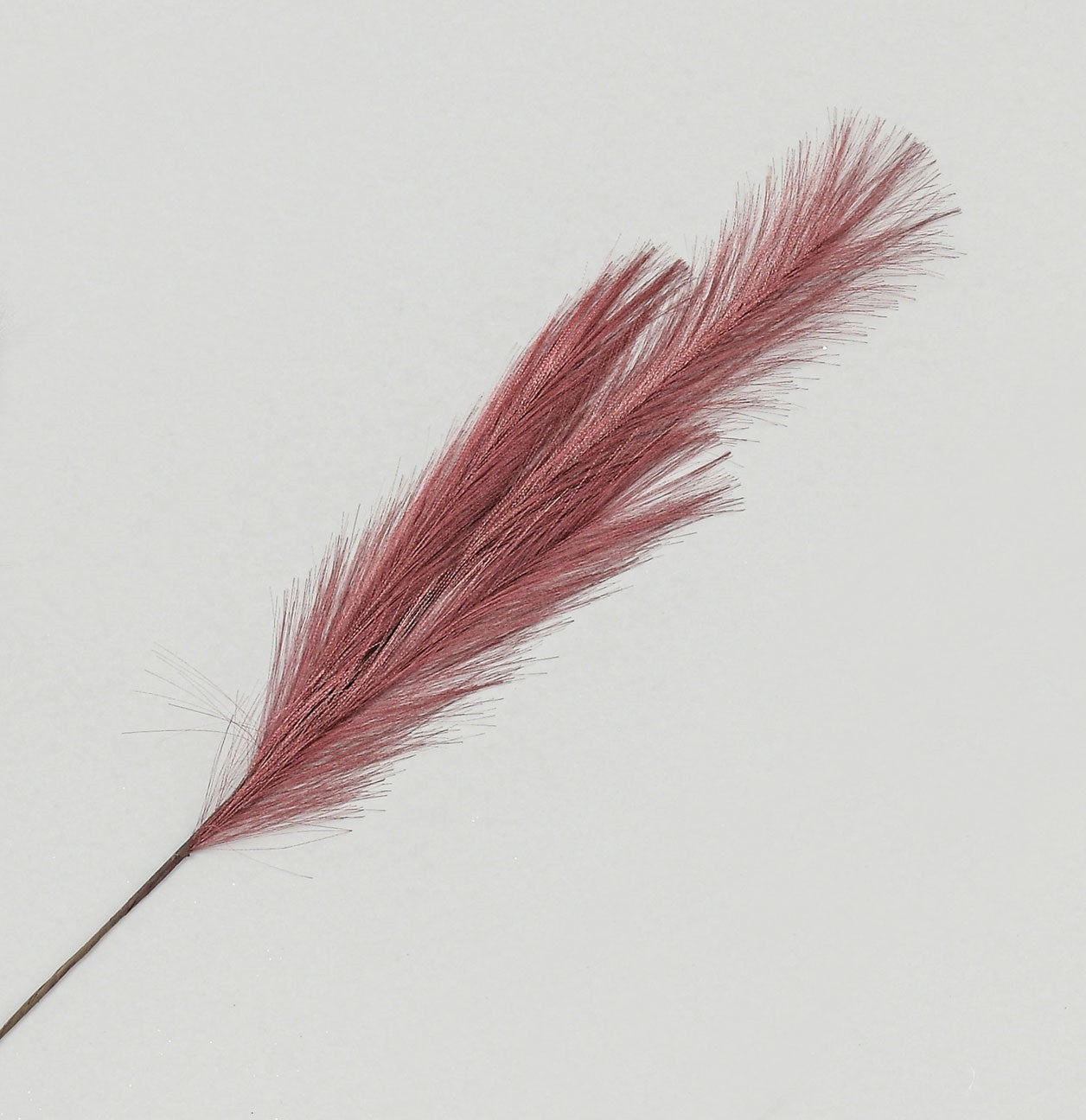 Pampas Grass Spray Burgundy (82cm)
