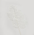 Glitter Maple Leaf White (66cm)