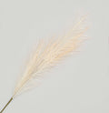 Cream Reed Grass Spray (96cm)