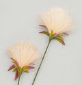 Cream PomPom Spray (72cm)