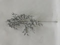 Silver Leaf Spray (82cm)