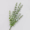 Frosted Eucalyptus Bush Green (53cm)