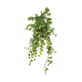 Green Ivy Hanger (64cm)