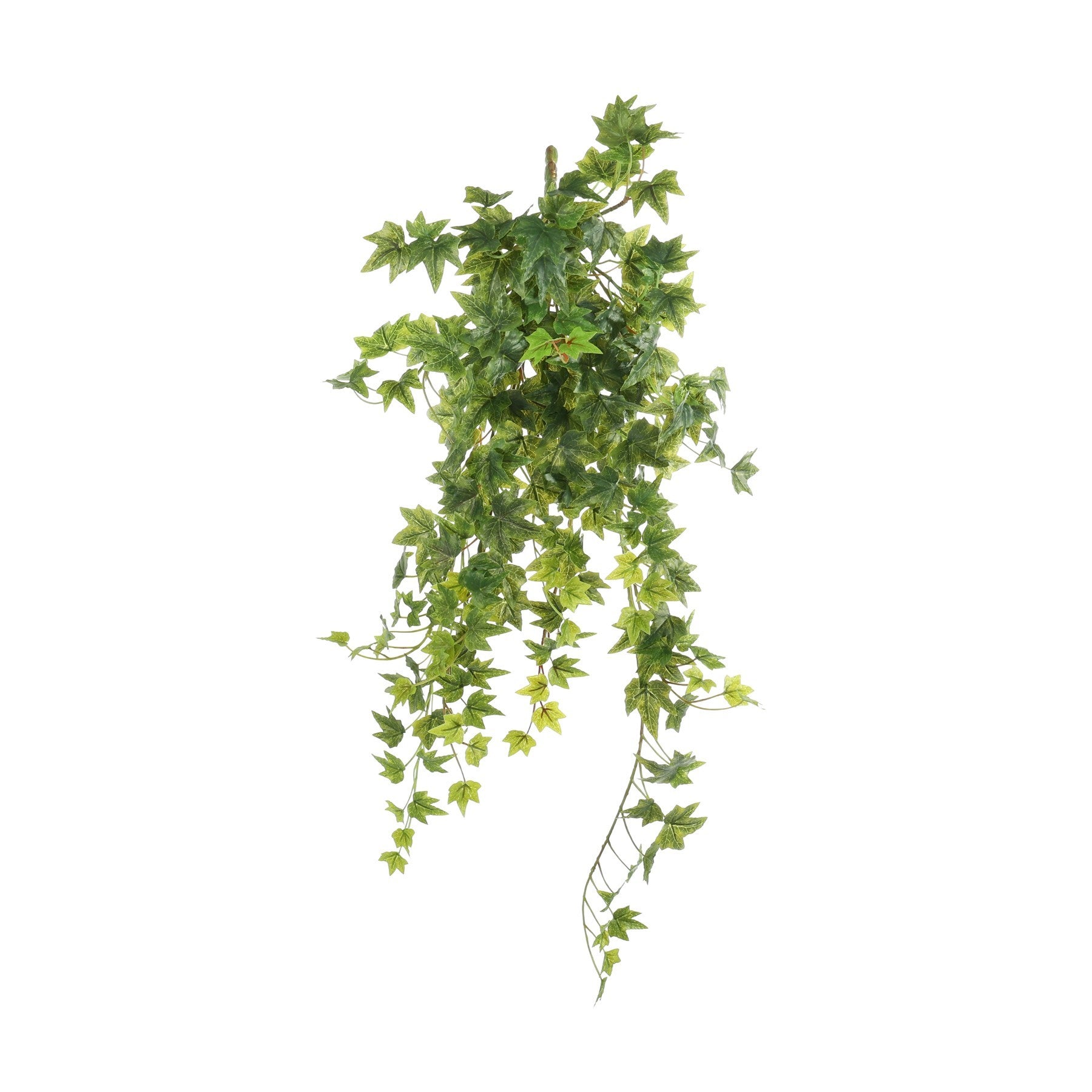Green Ivy Hanger (64cm)