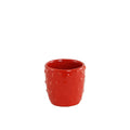 Red Fruit Face Plant Pot