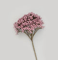 Pink Berry Cluster Spray (67cm)