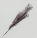 Purple Pampas Grass Spray (82cm)
