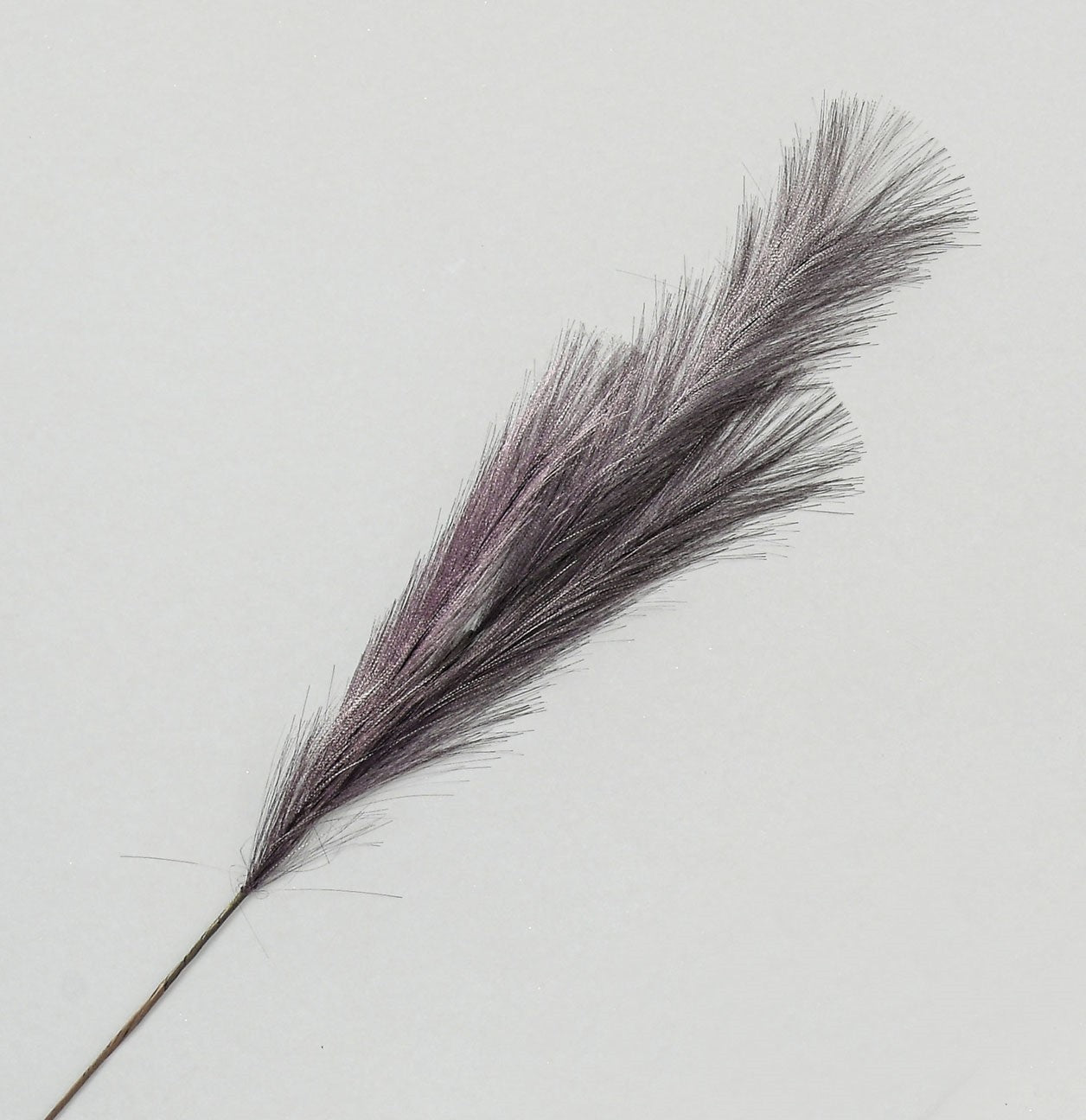 Purple Pampas Grass Spray (82cm)