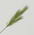 Green Pampas Grass Spray (82cm)