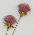 Burgundy Pom Pom Spray (72cm)