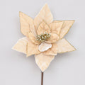 Champagne Velvet Poinsettia (62cm)