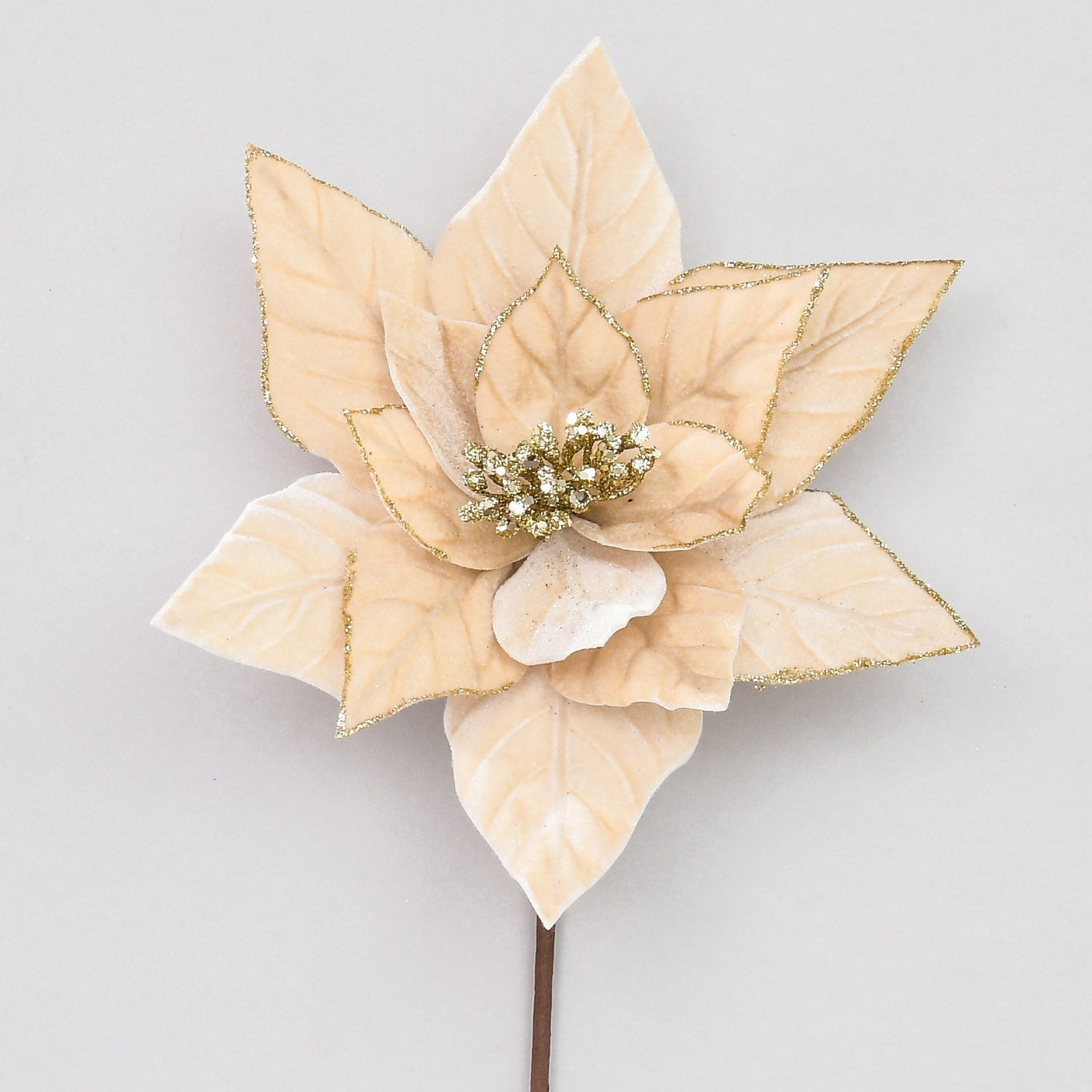 Champagne Velvet Poinsettia (62cm)