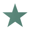 Oasis Foam Large 5 Point Star