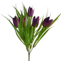 Purple Tulip Bush (14")