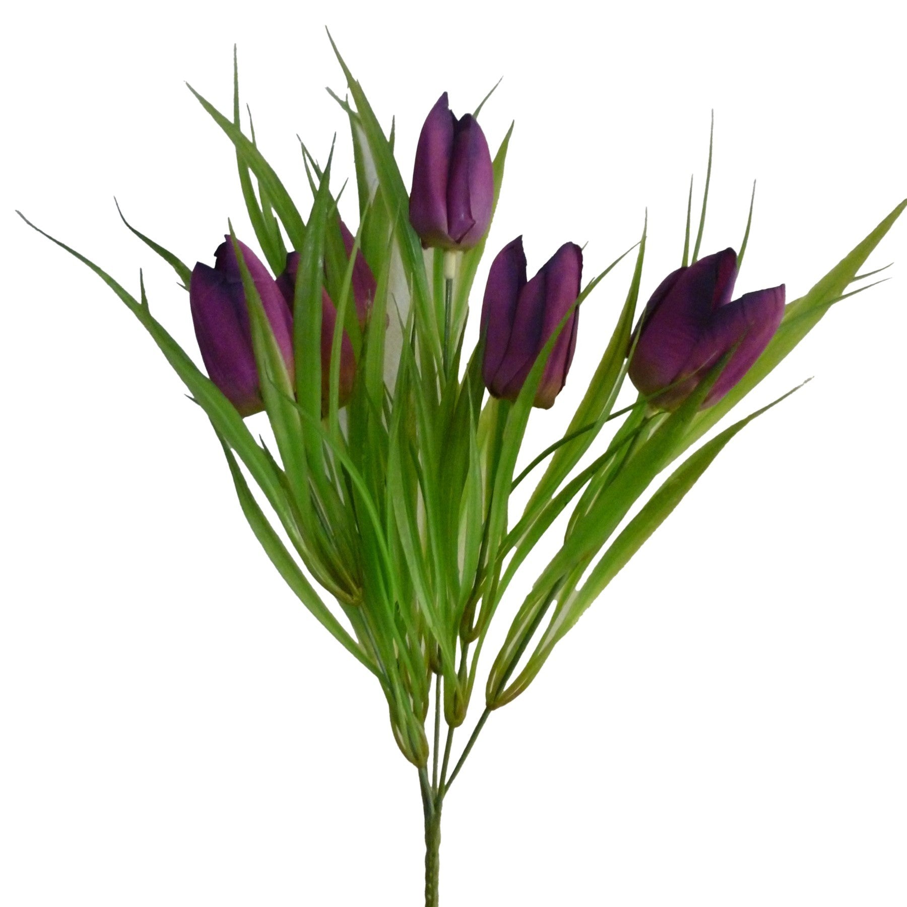 Purple Tulip Bush (14")