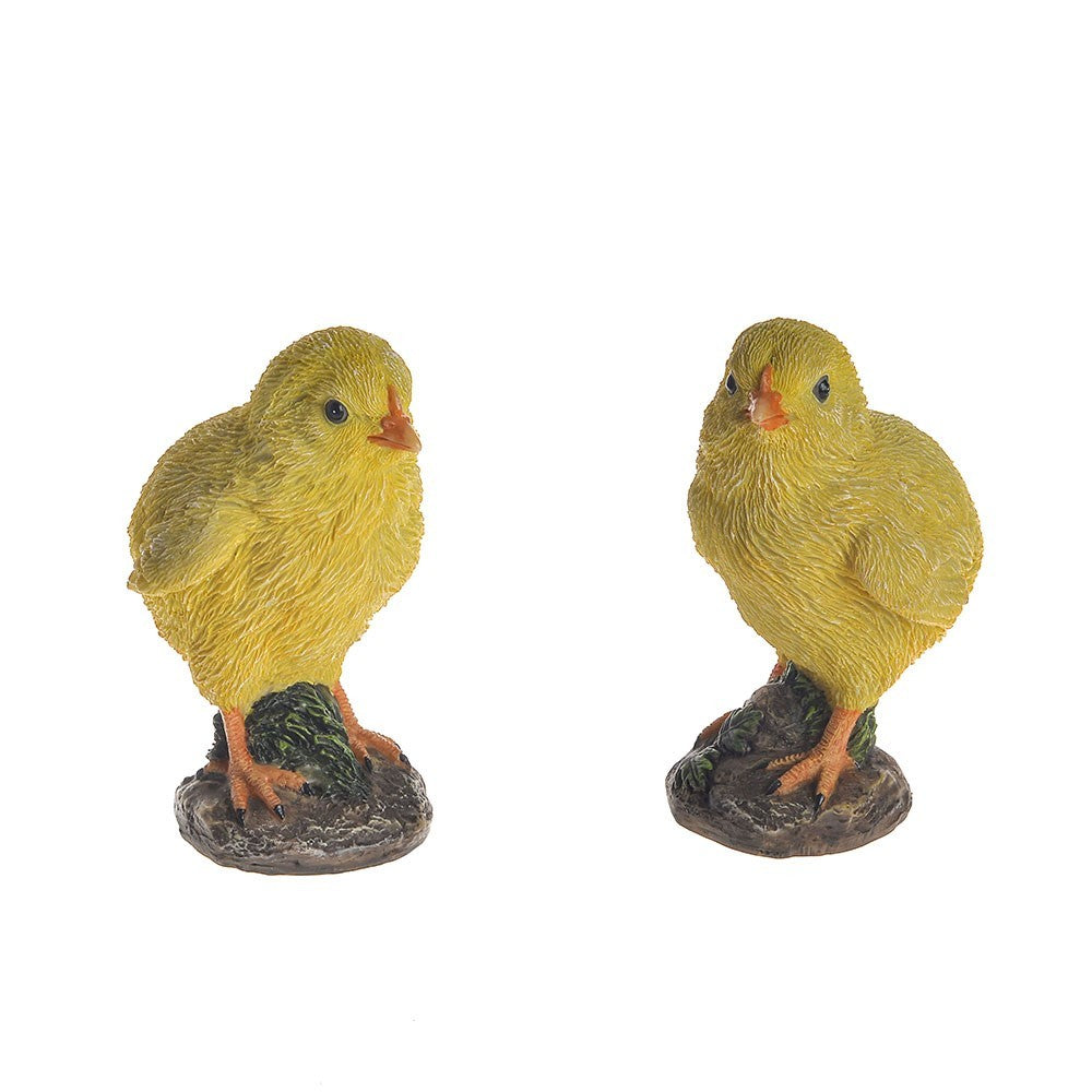 Farmyard Chick (Assorted)