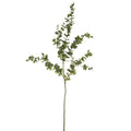 Green Eucalyptus Spray (145cm)