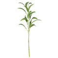 Eucalyptus Spray (59cm)