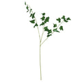 Green English Ivy Leaf  (80cm)