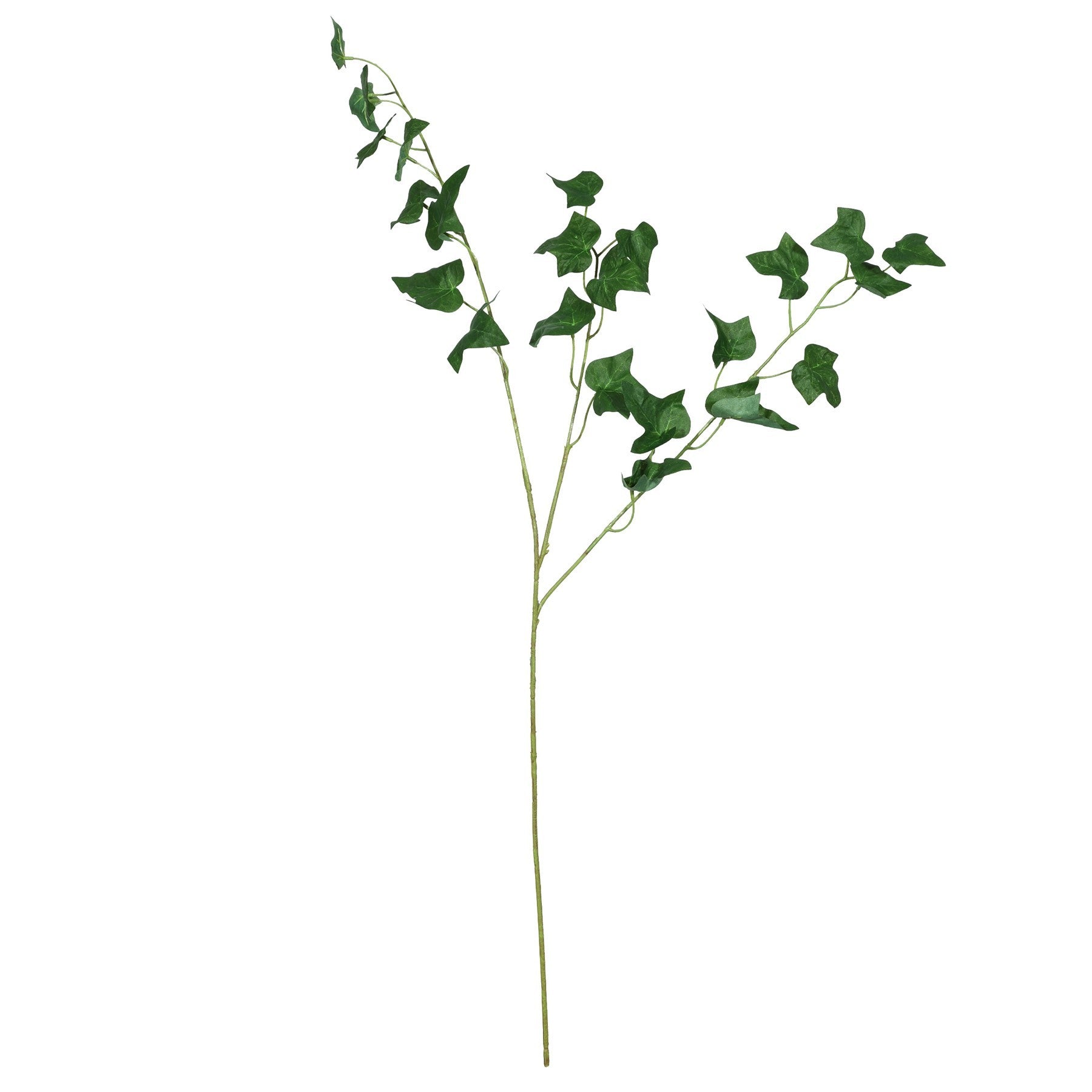 Green English Ivy Leaf  (80cm)