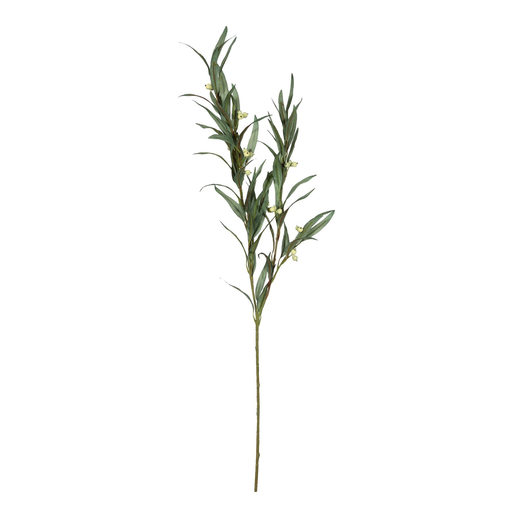 Eucalyptus Berry (88cm)