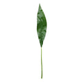 Aspidistra Leaf (93cm)