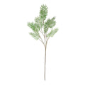 Chamaedorea Spray (160cm)
