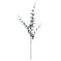 Lonicera Leaf Spray (118cm)