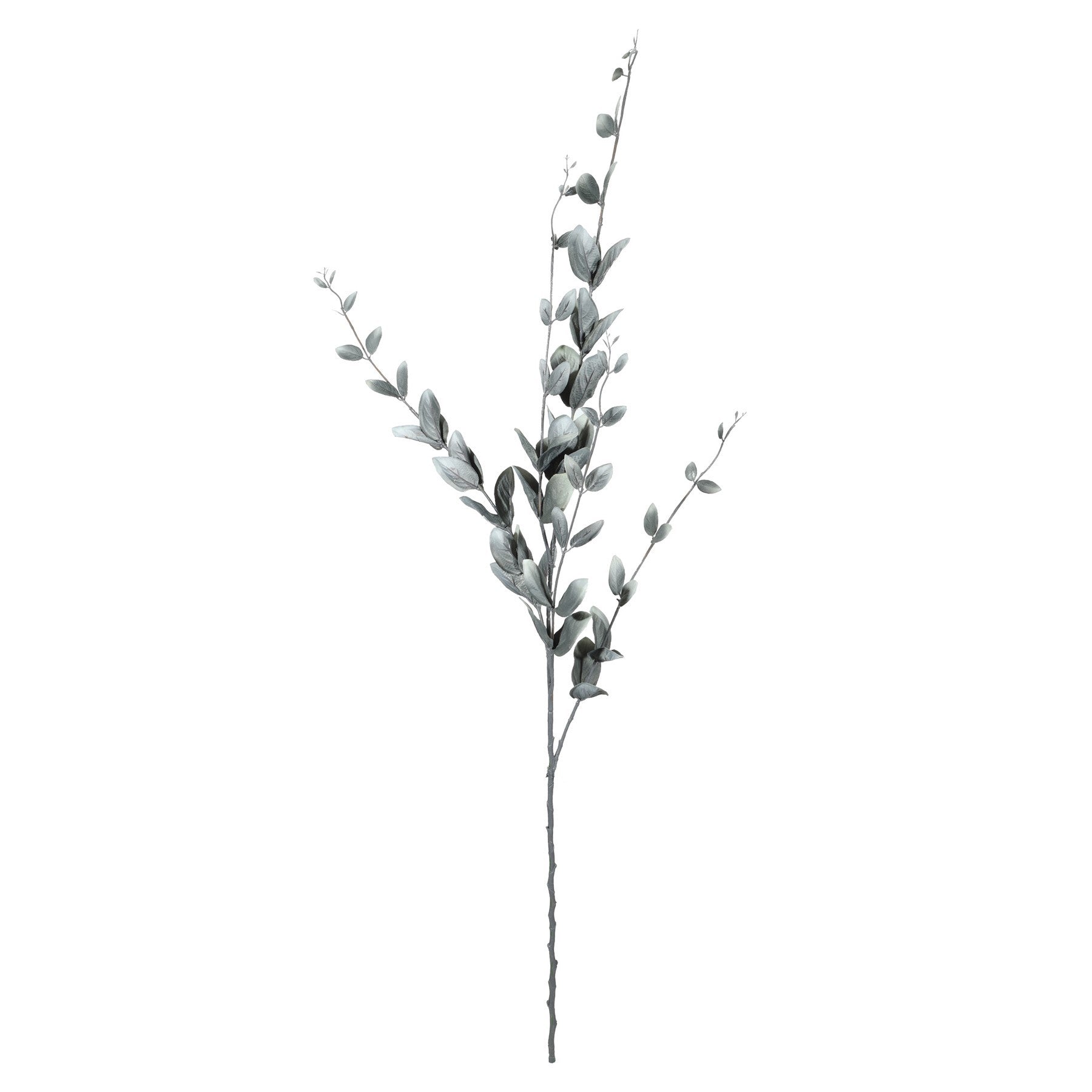 Lonicera Leaf Spray (118cm)