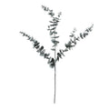 Eucalyptus Spray (105cm)