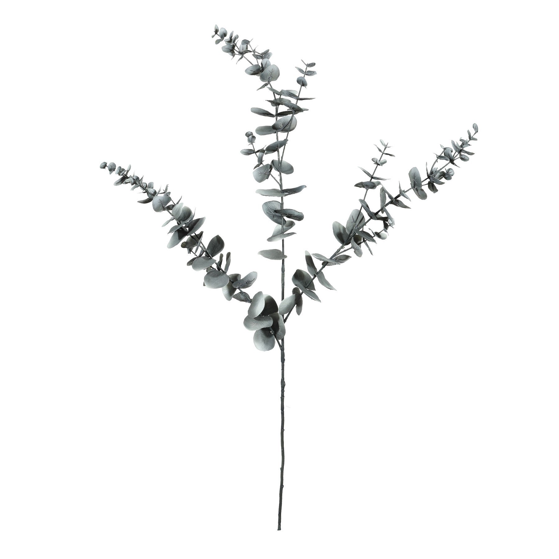 Eucalyptus Spray (105cm)